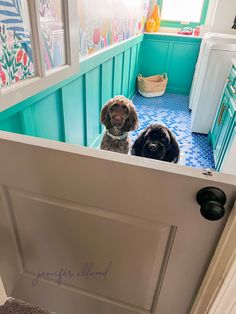 two dogs are sitting in the doorway of a house with blue walls and flooring