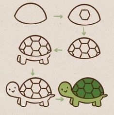 how to draw a tortoise step by step with pictures for kids and beginners