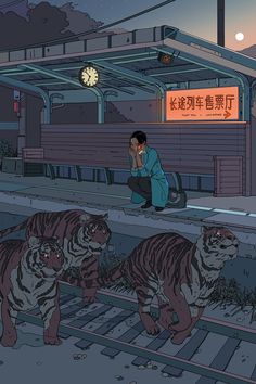 a man sitting on the train tracks with three tigers in front of him at night