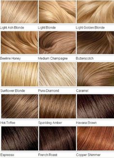 Blonde Color Chart, Which Hair Colour, Brunette Ombre, Honey Hair Color, Hair Blond, Brunette Balayage, Dyed Blonde Hair