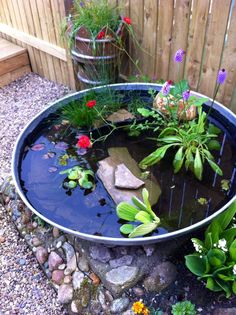 a large metal bowl filled with water and plants next to a wooden fenced in area