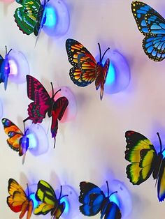 many colorful butterflies are hanging on the wall and some lights in the shape of balls