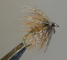 a close up of a fly with some brown and yellow flies on it's tip