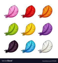 six different colored feathers on a white background