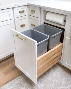 two bins in the middle of a kitchen cabinet