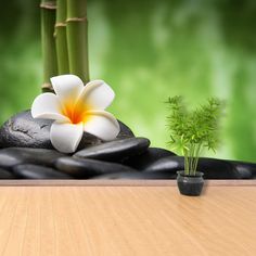 a white flower sitting on top of a wooden table next to a bamboo plant and rocks