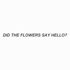 the words did the flowers say hello written in black on a white background