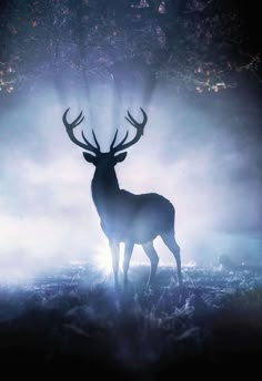 a deer standing in the middle of a forest with fog and light coming from its antlers