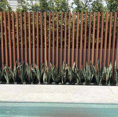 some plants are growing next to a pool in front of a wooden fence that is lined with wood slats