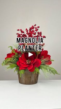 a potted plant with red flowers in it and the words magnola planter