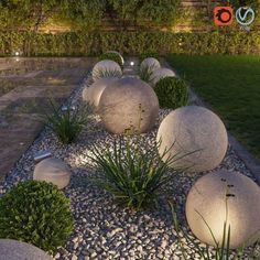 some rocks and plants are in the middle of a garden at night with lights shining on them