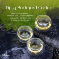 three glasses filled with liquid sitting on top of a tree stump