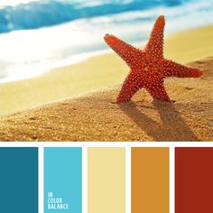 a starfish sitting on top of a sandy beach next to the ocean with color swatches