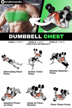 the dumbbell chest workout chart shows how to do it and how to use it