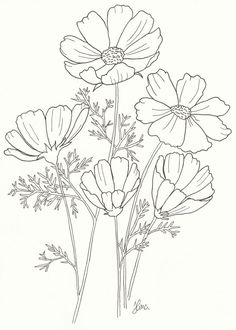 some flowers that are in the middle of a line art style drawing, with one flower on