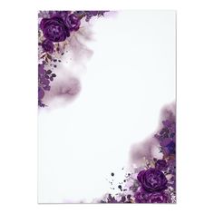 purple flowers on white background with space for text