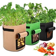 three different types of vegetable bags with vegetables in them