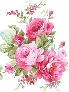 a bouquet of pink flowers with green leaves and buds on a white background, painted in watercolor