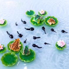 several frog figurines sitting on top of lily pads in a pond with water lilies