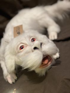 a white cat laying on top of a bed with it's mouth open and tongue out