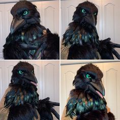 four pictures of a bird with green eyes and feathers on it's head, including the beak