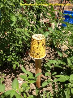 a yellow bird bath sitting in the middle of some green plants and dirt on the ground