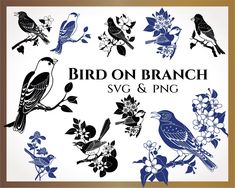 bird on branch svg and png clipart example for use in design projects