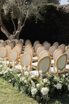 rows of chairs with white flowers in the grass