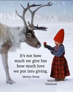 Christmas Card Sayings, Card Sayings, Mother Teresa, Christmas Quotes, Wise Quotes, Good Thoughts, Beautiful Quotes, Morning Quotes