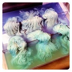 four white dogs with long hair are in a box