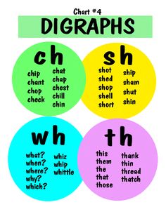 four circles with different words on them in the middle one says, what? who?