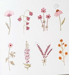 the flowers are drawn in watercolor on paper