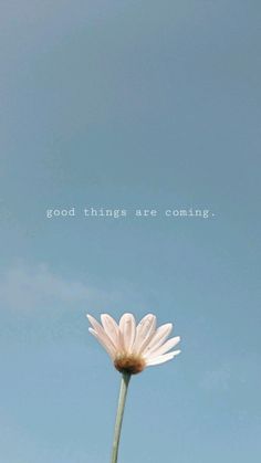 a single white flower with the words good things are coming above it on a blue sky background