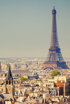 the eiffel tower towering over the city of paris, france with autumn leaves in foreground