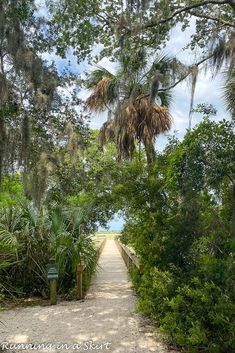 a path that leads to the beach through some trees