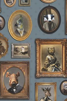 a wall with many framed pictures and animals on it's sides, all in gold frames