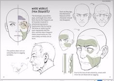 an image of how to draw the head and shoulders