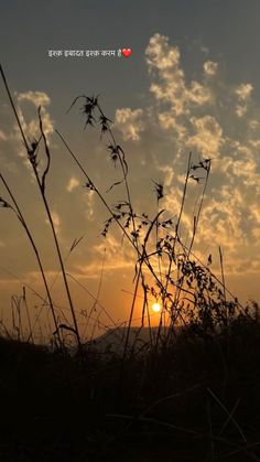 the sun is setting behind some tall grass