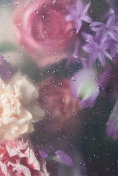 flowers are seen through a window with raindrops on the glass and one is pink