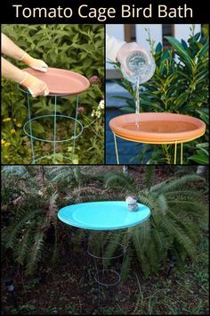 three pictures of different types of bird bath