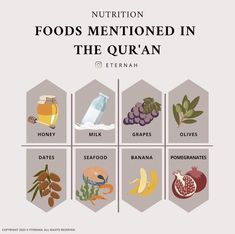 an image of food mentoned in the quran