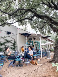 people are sitting at tables under the shade of an oak tree in front of a building