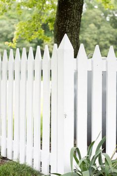 a white picket fence in front of a tree