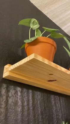 a potted plant sitting on top of a wooden shelf next to a green plant