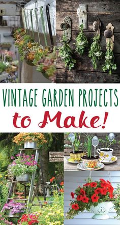 vintage garden projects to make with old ladders and flowers in the background, including potted plants