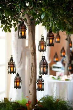 a group of lanterns hanging from a tree