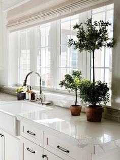 two potted plants sit on the counter in front of a kitchen sink and window