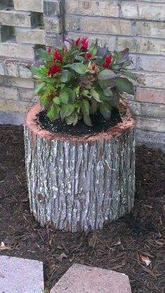 a tree stump with flowers growing in it