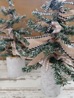 three small vases filled with evergreen branches and burlocked bows are sitting on a table