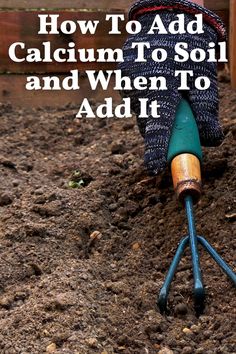 a garden fork digging in the dirt with text overlay how to add calmum to soil and when to add it